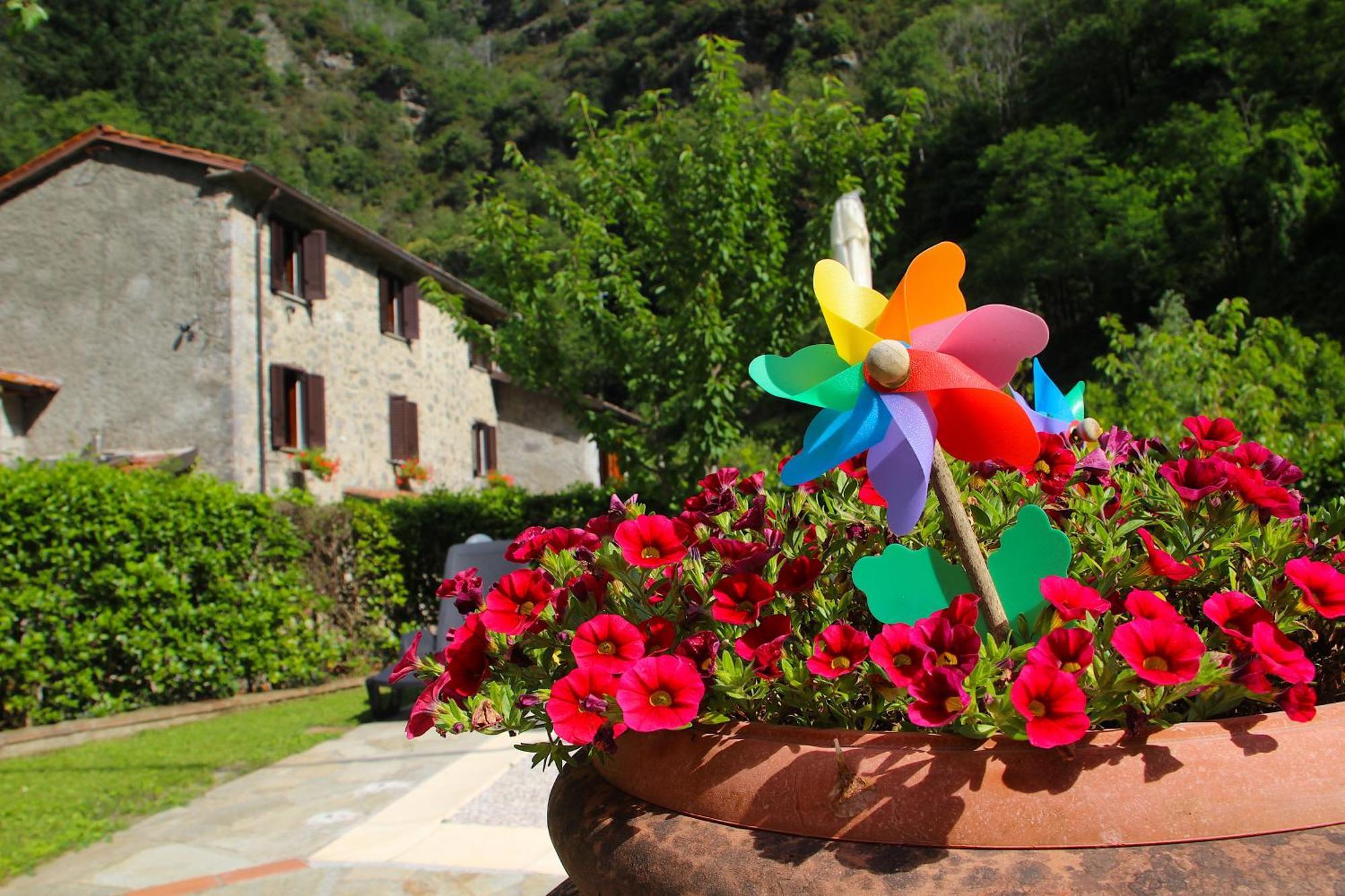 Casa Vacanze Il Boscaccio "Casa Massimo" Fornovolasco Buitenkant foto