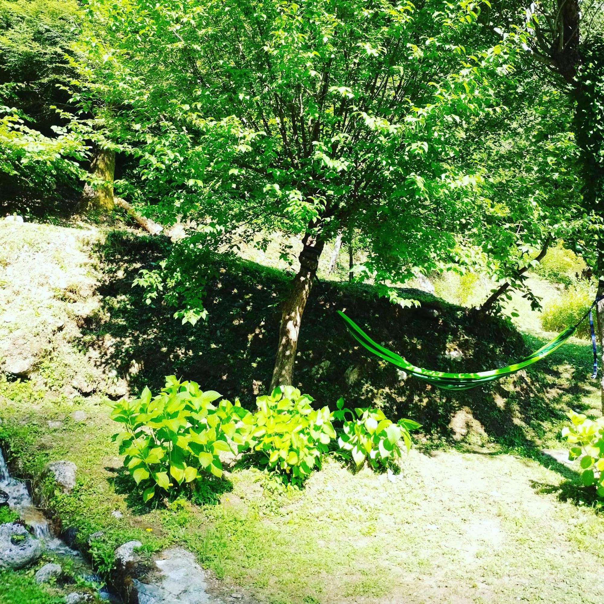 Casa Vacanze Il Boscaccio "Casa Massimo" Fornovolasco Buitenkant foto