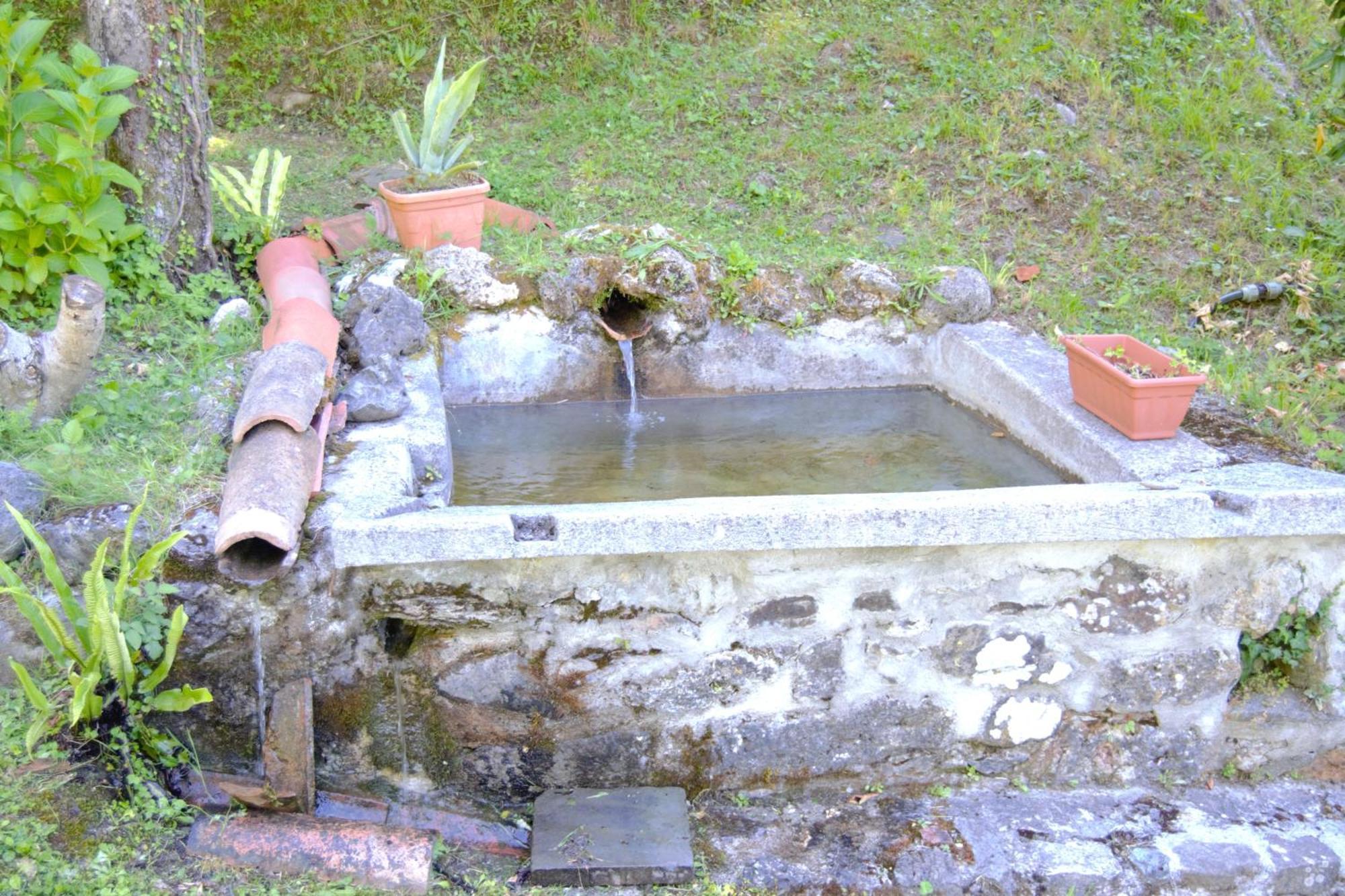 Casa Vacanze Il Boscaccio "Casa Massimo" Fornovolasco Buitenkant foto